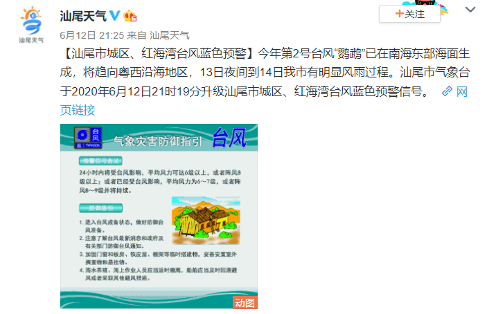 台风鹦鹉的最新动态更新