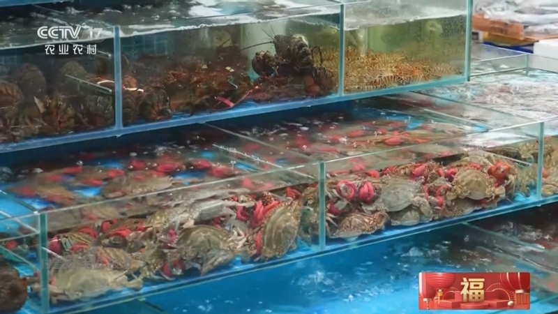 海鲜最新资讯动态更新，新鲜海鲜新闻报道🦞🐟