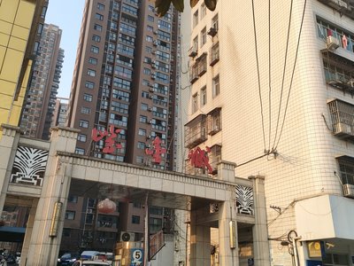 最新紫精城，爱与陪伴的温馨日常