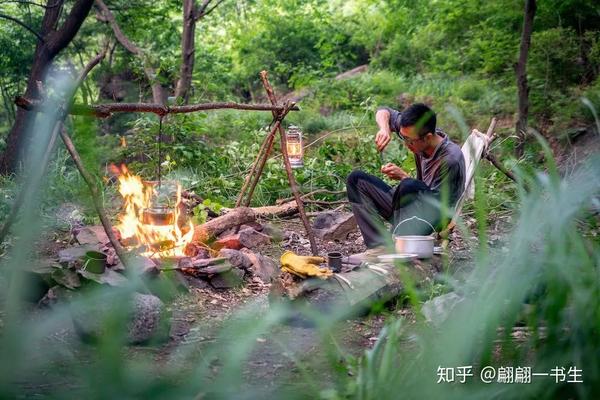 森林中的温馨日常，野性为王最新篇章