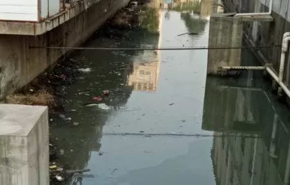 牛塘镇最新发展动态，民生科技双轮驱动下的新脉络与成就