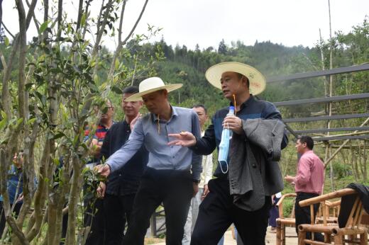 赵四的高科技产品体验之旅最新节目