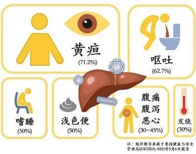 最新肝炎症状详解与小巷深处的特色小店探秘