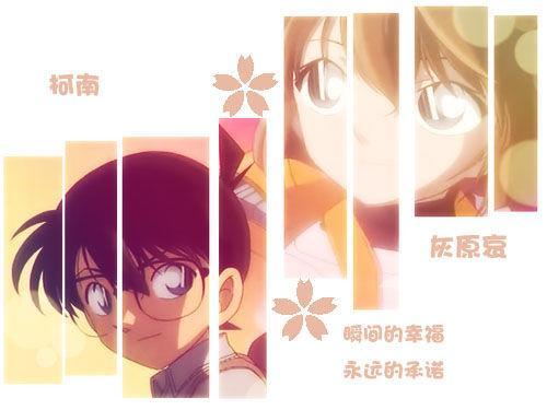 柯哀集数最新更新及详细步骤指南